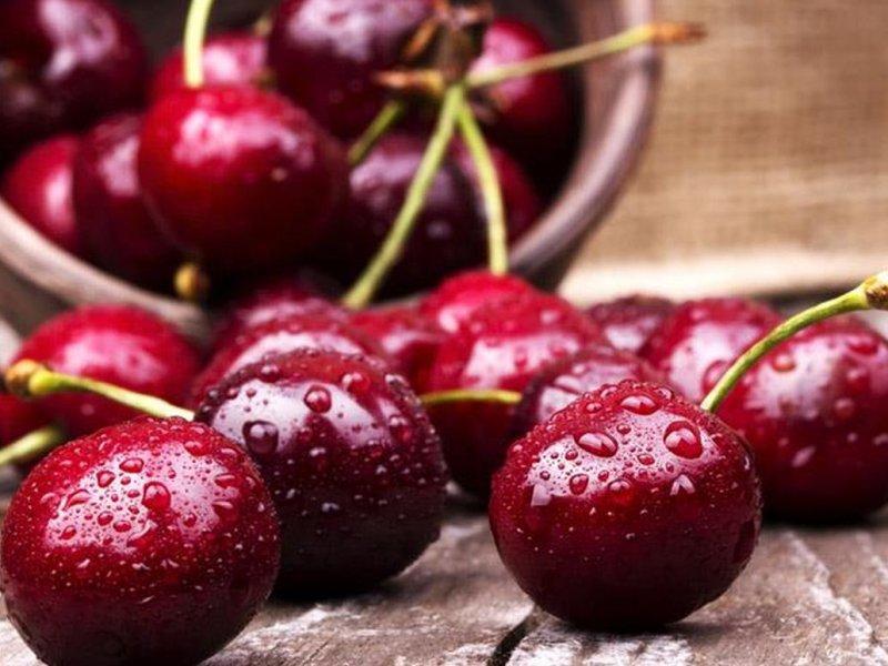 Вишня купить саженцы из питомника в Электростали